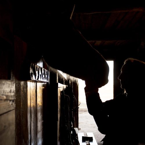 elegant-horse-silhouette-against-dawn-sky