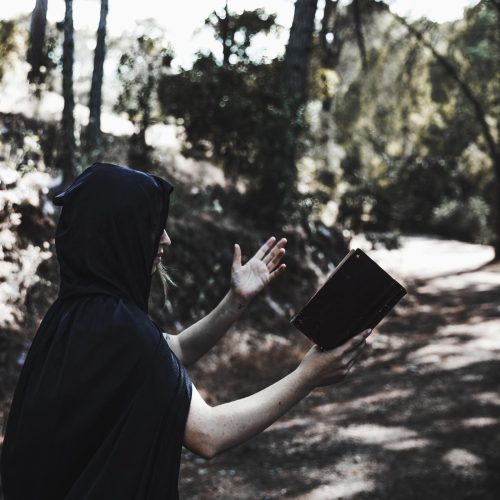 hooded-woman-with-book-conjuring-sunlit-woodland